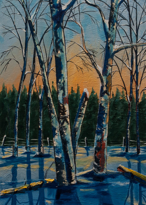 Sunset Birches (SOLD)